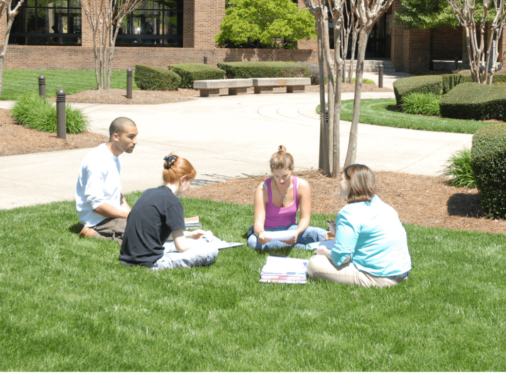 people in grass working