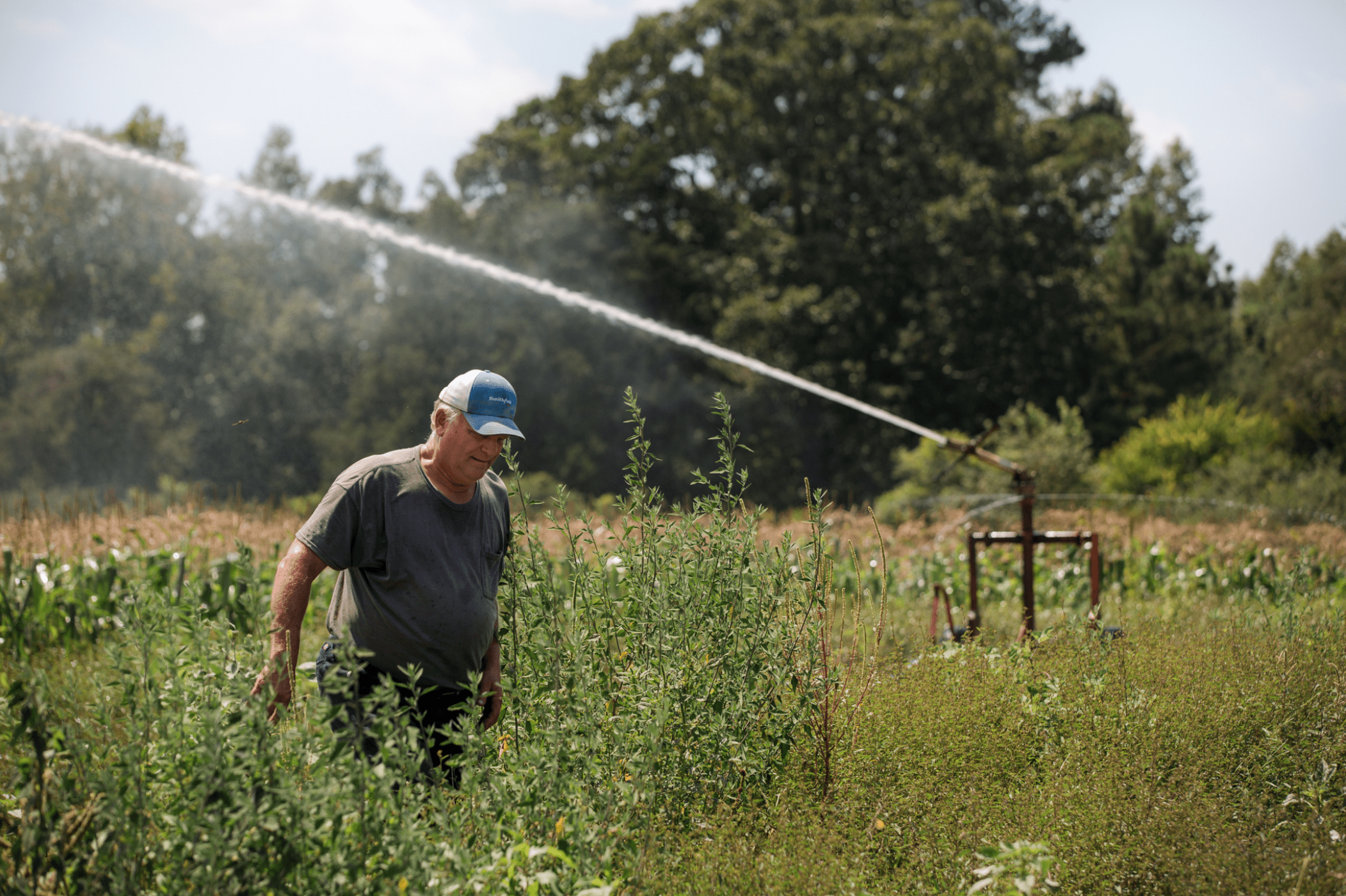 man in field